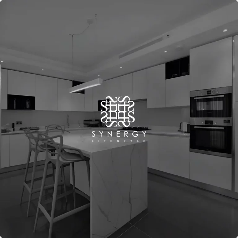 synergy lifestyle web design