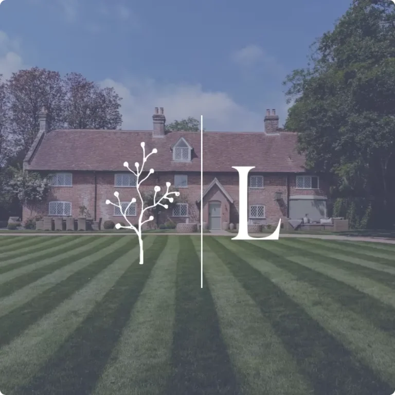 new forest website design