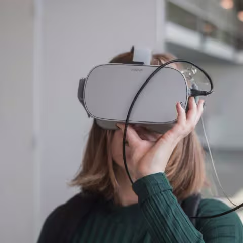 nif vr