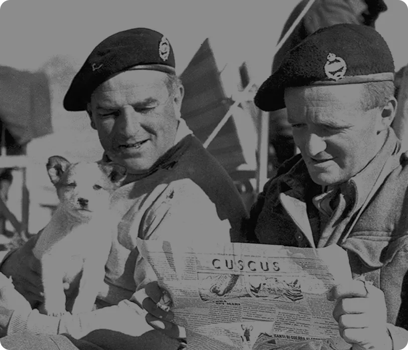 what-they-wanted-ww2-69456f9310965